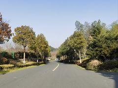 -天目湖涵田度假村