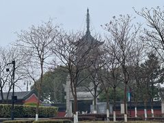-观潮胜地公园