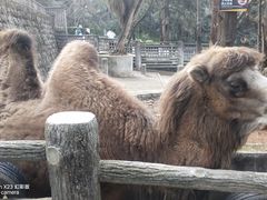 -昆明动物园
