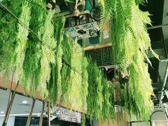 -三个椰子·现砍椰子鸡(金源CBD店)