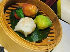 -点都德·毕德寮