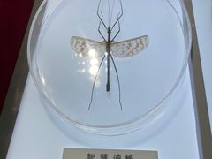 -上海昆虫博物馆