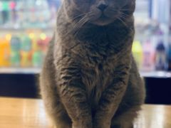 -Rabbit Cafe私房西餐甜点咖啡(栖霞路店)