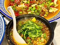 -新蜀会四川豆花(五羊店)