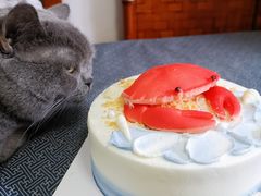 -派悦坊·甜品·蛋糕(日坛店)