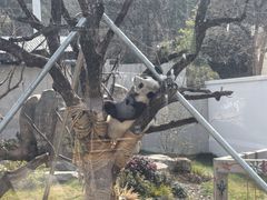 -无锡动物园·太湖欢乐园