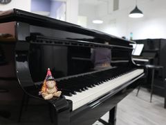 -梅纳·钢琴声乐架子鼓Mena Music(双井店)