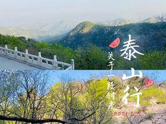 -泰山风景名胜区