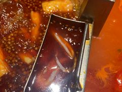 -海底捞火锅鲜切牛肉主题店(长寿路店)