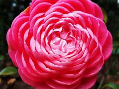 -昆明市金殿名胜区