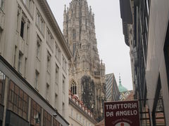 -斯蒂芬主教座堂(Stephansdom)