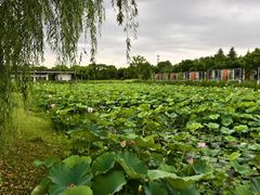 -上海怡沁园度假酒店