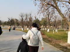 -汉长安城未央宫国家考古遗址公园