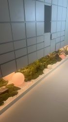 -苑苑vbeauty科技美容SPA