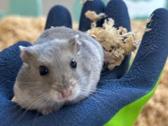 -怪兽屋·羊驼·猫咖·狗咖(俊华广场店)