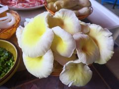 -仙蘑洞