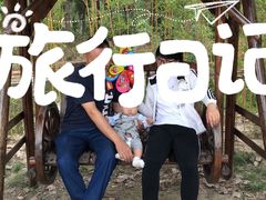 -合肥滨湖国家森林公园