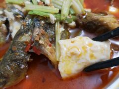 黄甲鱼焖豆腐-福子家·闽北光泽菜(华林店)