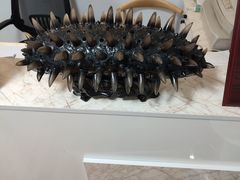 -宫品海参(双井店)