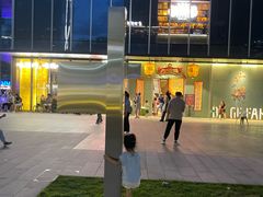 -大鸽饭(汉溪长隆店)