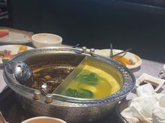 -一绪に寿喜烧自助(世茂广场店)
