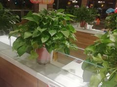 -嘉和一品粥(政府街店)