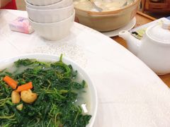 上汤马齿苋-寻味顺德·南记酒家·传统顺德菜·鱼生(广源路店)