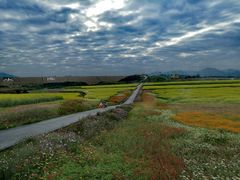 -光明小镇欢乐田园