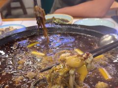 -费明中罗非鱼(大石坝店)
