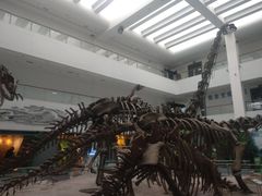 -中国地质大学逸夫博物馆