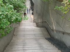 -武汉大学-樱园