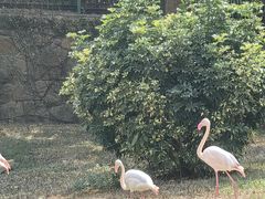 -石排湾郊野公园