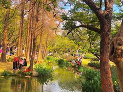 -人民公园(罗湖区)