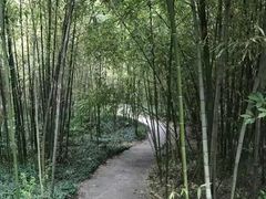 -菊花台公园