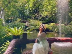 -绿光森林餐厅