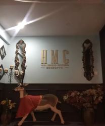 -HMC美容按摩SPA馆