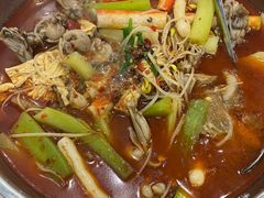 -魔石泡泡鱼(当涂店)