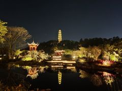 -顺峰山公园