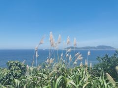 -东极岛景区
