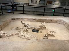 -洛阳周王城天子驾六博物馆