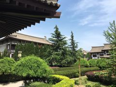 -法门文化景区