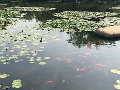 -白马涧龙池景区