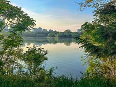 -长白岛森林公园