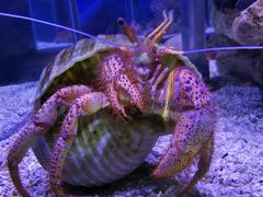 -太平洋海底世界