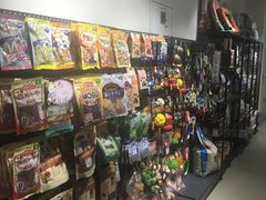 -宠物家(双井店)
