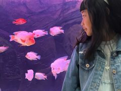 -泉城欧乐堡海洋极地世界