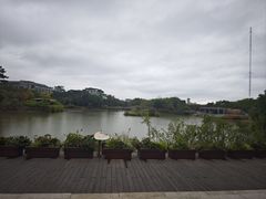 -福田红树林生态公园