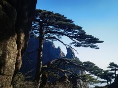 -黄山风景区