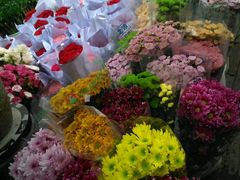 -秦美花卉(天朗·莱茵小城2期店)