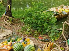 -同里国家湿地公园